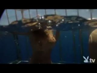 Nackte Mädchen in einem Hai-Käfig!
