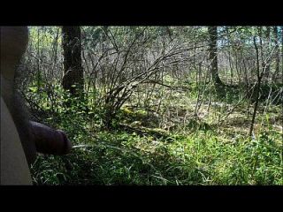 20140908 Pissen im Wald