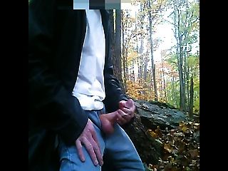 Herbst Ruck in den Wald